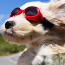 avatar ᎥĆ𝔂 𝓌Ɨx𝑒𝐍 ⛄🍨