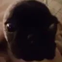 deg.six.deg7980 avatar