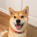 iperlyz