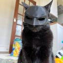 4c17c15fa77b5d3fadd2ee44a27fbde5