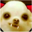 laratadoodoo