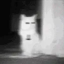 pfp