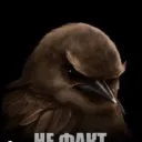 sadqdex