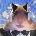 Аватар gleb1644