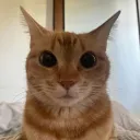 1uq3