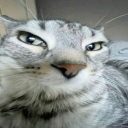 avatar DilanJNC