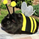 avatar Velly | I love Hostess/Postman