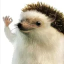 redynine