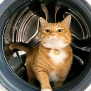 avatar veryloudvacuum