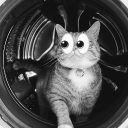 avatar veryloudvacuum