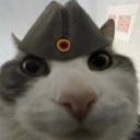 avatar veryloudvacuum