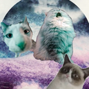 discord_1048241376778797086