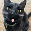 avatar ˚₊‧꒰ ꒱ ‧₊˚