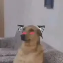 Аватар svnsilvian