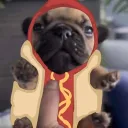 bennthehotdog