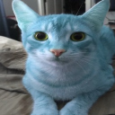 avatar Blue Cat