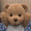 shaohao5559