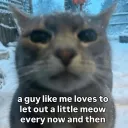 somethingofameower avatar