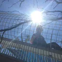skywithsun