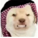 muslim0523.