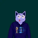 ragdollsusa