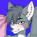 bailey_dwaggy