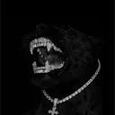 _imstillstanding_