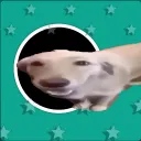 f1uxx_wave