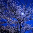 Аватар mr.novaigod