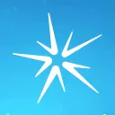 salvoteam