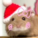 avatar ⋆࿔ αяυ ۶ৎ