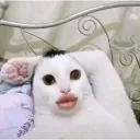 yaestaz
