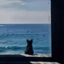swiv_. avatar