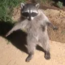 im_will