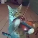 kirieshka_dev