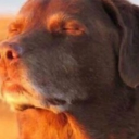 ethanheat18's Avatar