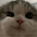 hihi_rorong