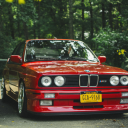 vividcalf471070's avatar