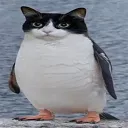 .kruise