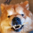Keggarr