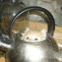 Аватар kastnoofgon