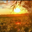 Аватар 3sdd_vsdd