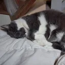 feunnie