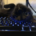 avatar ╚»★«╝ P̲o̲w̲e̲r̲F̲r̲o̲s̲t̲ ╚»★«╝