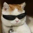 frnmo