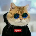 slaiqe
