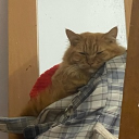 avatar bonglanneee♡