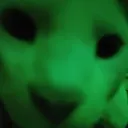 pakoparker