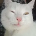 Аватар sentoxbruh