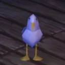 0rqk